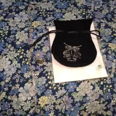 家庭教師ヒットマン★REBORN ボンゴレリング風ネックレス　霧のリング