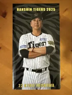 2026年最新】藤川球児 フィギュアの人気アイテム - メルカリ