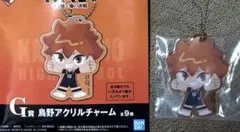 ハイキュー 一番くじ ゴミ捨て場の決戦2 G賞 烏野 チャーム 日向翔陽