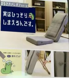 未使用 ドウシシャ de・za・isu 姿勢がラクラク座椅子 グレー - メルカリ