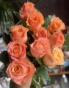 ❀ご購入前にコメントお願い致します❀ 切り花品種 バラ くすみピンク