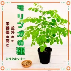 ✤さいか✤様 リクエスト 5点 まとめ商品