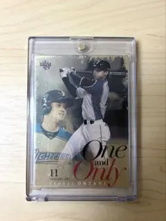 Item thumbnail for item dfcc8b24-c4ce-4b53-9b1d-2b3df0bc0e7b