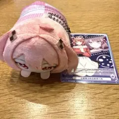 カラフルピーチ　のあさん　セット 極楽湯　もちころりん　ヴァイス