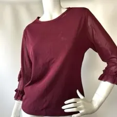 社交ダンス、ボルドーワイン色のトップス　　￼伸縮性のパワー、ネット素材