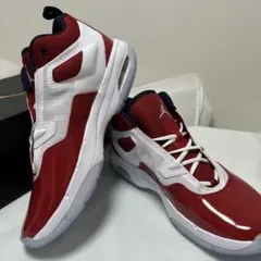 28.5cm 新品 ナイキ ジョーダン ステイロイヤル 3 FB1396-102