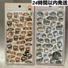 正規品 クーリア ボンボンドロップシール レッサーパンダ マヌルネコ 2種類