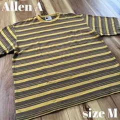 Allen A オーバーダイ ボーダーTシャツ M 美品のサムネイル