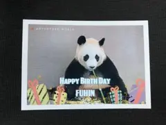 ヒマワリ^_^様 リクエスト 2点 まとめ商品