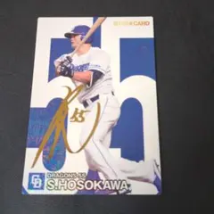 2025年最新】細川成也サインの人気アイテム - メルカリ