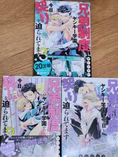 兄弟制度のあるヤンキー学園で、今日も契りを迫られてます (blコミック)