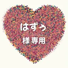 はずぅ様 専用ページ