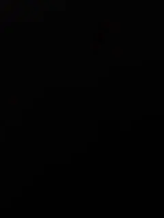 【まさひろ様専用】90s Patagonia シンチラフリース　スナップT