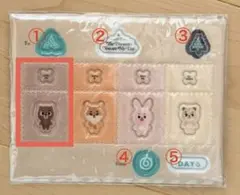 DAY6 THE PRESENT 2023 ライトバンドカスタムセット BANG