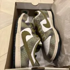 NIKE SB DUNK LOW PRO QS HJ3386-300のサムネイル