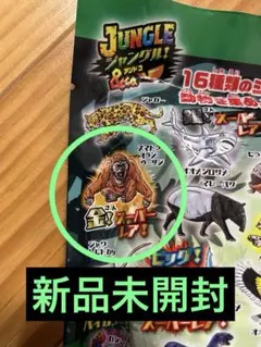 ジャングル &co.