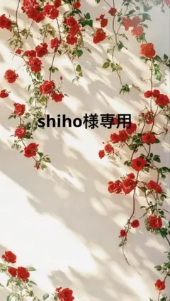shiho様今日発送