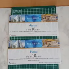 遠鉄百貨店　株主優待券 2枚