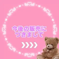 今後の販売につきまして