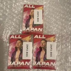 2026年最新】全日本プロレス の人気アイテム - メルカリ