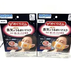 めぐりズム　蒸気でうるおいマスク　3枚入り×2箱セット　合計6枚のサムネイル