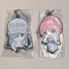 【未開封】はたらく細胞BLACK　ラバスト　白血球　肝細胞