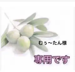 ⭐️ むぅ～たん様専用⭐️のサムネイル