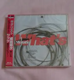 成田昭次　WUDDAYACALLIT(帯付き)CD WUDDAYACALLIT/成田昭次