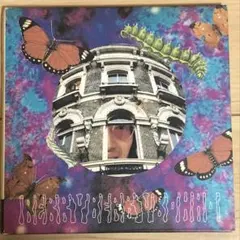 デキシード・ザ・エモンズ　「Berry,Berry Bo,hho」