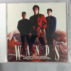 WANDS CD アルバム　全6曲入り