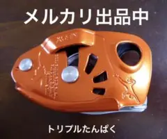 Item thumbnail for item 84921867-51cf-4eac-a74d-d68ebadbbb4c