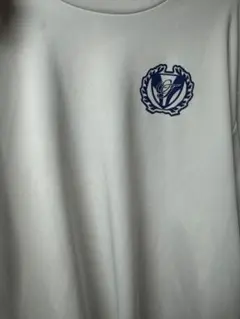 OSAKA TON WHIRL WID ラガーシャツ 3L