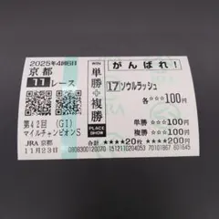 ソングオブウインド　現地的中単勝馬券 2025年最新】現地馬券の人気アイテム - メルカリ