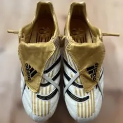 2026年最新】プレデター アブソリュート fgの人気アイテム - メルカリ