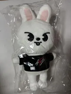 straykids ぬいぐるみ リービット ワルツ エコパ straykids ぬいぐるみ リービット ワルツ エコパ STRAY KIDS