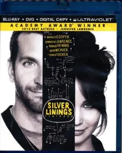 ♡　輸入盤　Silver Linings Playbook　Blu-ray