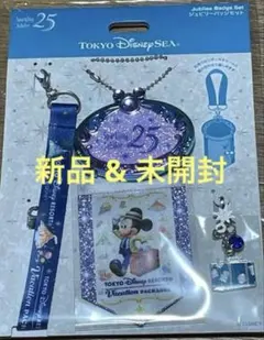 2026年最新】東京ディズニーバケーションパッケージのミッキーの人気