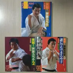 Item thumbnail for item 740b3017-e36e-4a94-b4bd-16e318deff3d