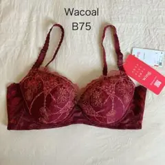 Wacoal 後ろ姿きれいブラ　レッド　B75