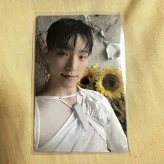 SEVENTEEN ディノ トレカ メンバーシップ メンシプ kit トレカ