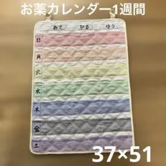 お薬カレンダー1週間　レインボーカラー　大きめポケット　シンプル　ハンドメイド