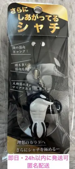 【新品未開封】さらに　しあがってるシャチ　須磨シーワールド　岩本照　即日発送可能