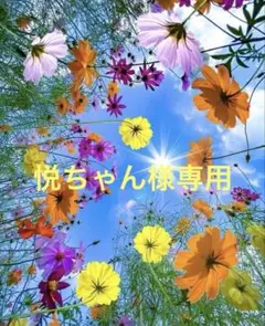 えっちゃん様専用ページ