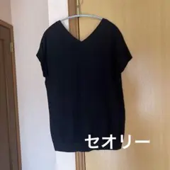 セオリーベスト