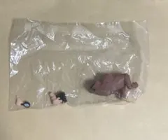 名探偵しんちゃん 野原ひろし