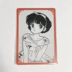 らんま1/2 キャラバッジコレクション 1BOX ヴィレッジヴァンガード
