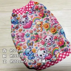 Item thumbnail for item bf26930b-4ba2-4235-9b29-07418d59ddcb