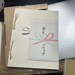 SOPHIA TOUR ’99「beautiful MAN」限定メモリアルブック