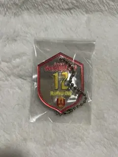 名古屋グランパス グランパコちゃん 12 キーホルダー
