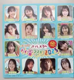プレイボーイ付録 DVD 水着祭り2025